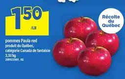 Maxi POMMES PAULA RED offer