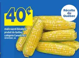 Maxi MAÏS SUCRÉ BICOLORE offer