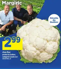 Maxi CHOU-FLEUR offer
