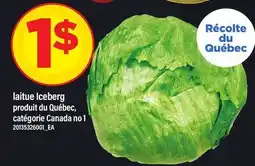 Maxi LAITUE ICEBERG offer