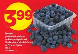 Maxi BLEUETS | BLUEBERRIES offer