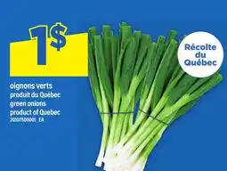 Maxi OIGNONS VERTS | GREEN ONIONS offer