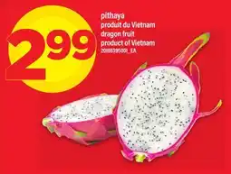 Maxi PITHAYA | DRAGON FRUIT offer
