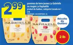 Maxi POMMES DE TERRE JAUNES LA GABRIELLE OU ROUGES LA RAPHAËLLE, 2 LB offer