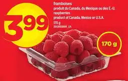 Maxi FRAMBOISES | RASPBERRIES offer