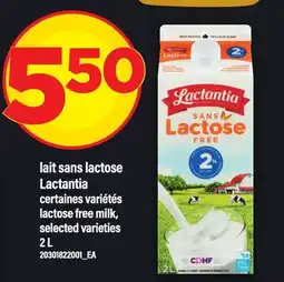 Maxi LAIT SANS LACTOSE LACTANTIA | LACTOSE FREE MILK offer