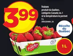 Maxi FRAISES offer