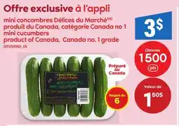 Maxi MINI CONCOMBRES DÉLICES DU MARCHÉ | MINI CUCUMBERS offer
