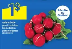 Maxi RADIS EN BOTTE | bunched radish offer