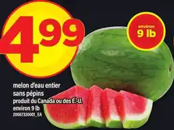 Maxi MELON D'EAU ENTIER SANS PÉPINS, 9 LB offer
