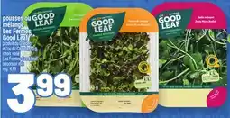Metro POUSSES OU G MÉLANGE L LES FERMES GOOD LEAF | LES FERMES GOOD LEAF SHOOTS OR MIX offer