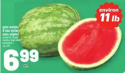 Metro GROS MELON D'EAU ENTIER SANS PÉPINS | SEEDLESS LARGE WHOLE WATERMELON offer