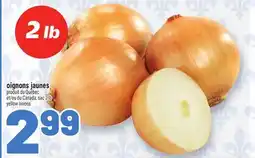 Metro OIGNONS JAUNES | YELLOW ONIONS offer
