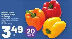 Metro POIVRONS JAUNES, ROUGES OU ORANGE DE CHAMPS | YELLOW, RED OR ORANGE FIELD PEPPERS offer