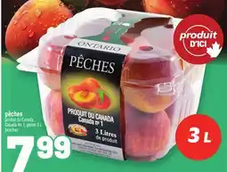 Metro PÊCHES | PEACHES offer