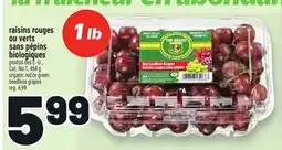 Metro RAISINS ROUGES OU VERTS SANS PÉPINS BIOLOGIQUES | ORGANIC RED OR GREEN SEEDLESS GRAPES offer