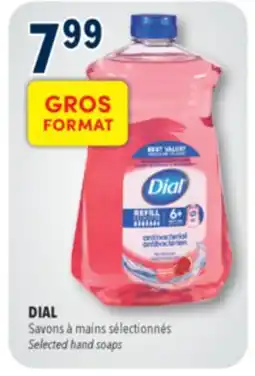 Familiprix Dial hydrating hand soap Pomegranate Tangerine - Refill offer