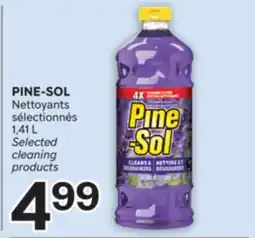Brunet PINE-SOL Nettoyants sélectionnés offer