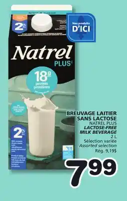 Marches Tradition NATREL PLUS LACTOSE-FREE MILK BEVERAGE offer