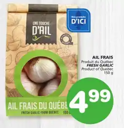 Marches Tradition FRESH GARLIC offer