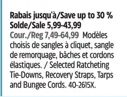 Canadian Tire MotoMaster Selected Ratcheting Tie-Downs, Recovery Straps, Tarps and Bungee Cords offer