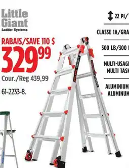 Canadian Tire Little Giant Ladder offer