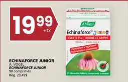 Rachelle-Bery Grocery A. VOGEL ECHINAFORCE JUNIOR offer