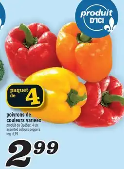 Marché Richelieu poivrons de couleurs variées | assorted colours peppers offer
