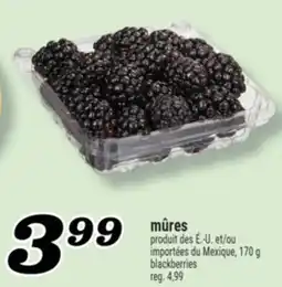 Marché Richelieu MÛRES | BLACKBERRIES offer