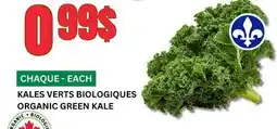Marches Tau KALES VERTS BIOLOGIQUES offer