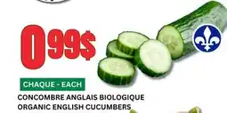 Marches Tau CONCOMBRE ANGLAIS BIOLOGIQUE offer