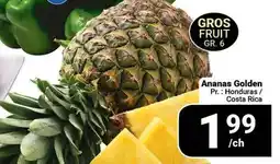 Pasquier Ananas Golden offer