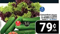Pasquier Concombres Libanais Pr.: Canada ou Laitue en feuilles rouges ou vertes du Québec offer