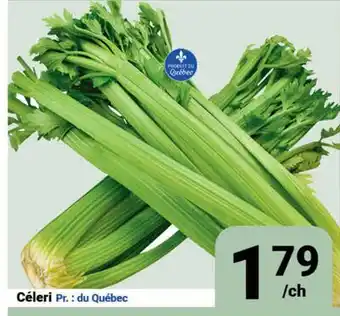 Pasquier Céleri offer
