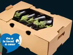 IGA EGGPLANT OR ITALIAN TOMATOES offer