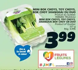 IGA MINI BOK CHOYS, TOY CHOYS, SHANGHAI BOK CHOY OR DUO offer
