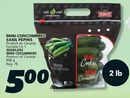 IGA SEEDLESS MINI CUCUMBERS offer