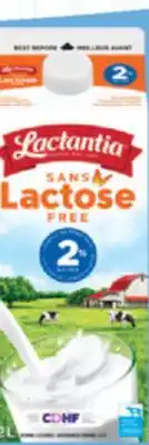 IGA LACTANTIA LACTOSE-FREE MILK offer
