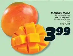 IGA MAYA MANGO offer