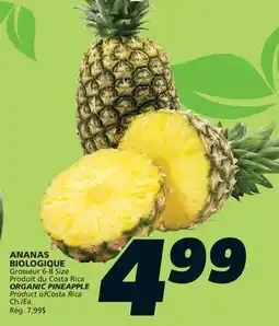 IGA ORGANIC PINEAPPLE offer