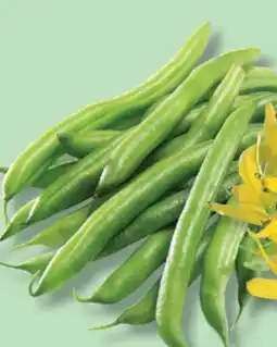 IGA GREEN BEANS offer