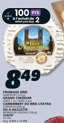 IGA BRIE L'EXTRA AGROPUR CHEESE offer