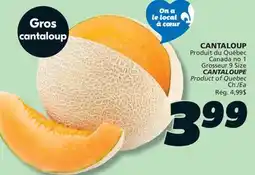 IGA CANTALOUPE offer