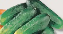 IGA CUCUMBERS FOR MARINATING offer
