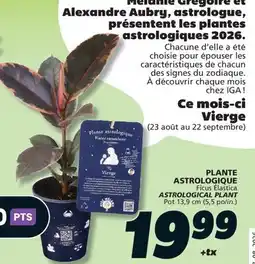 IGA ASTROLOGICAL PLANT offer