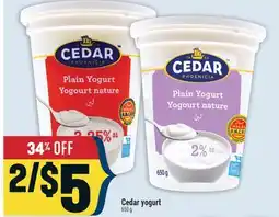 Marché Adonis CEDAR PHOENICIA CEDAR YOGURT offer