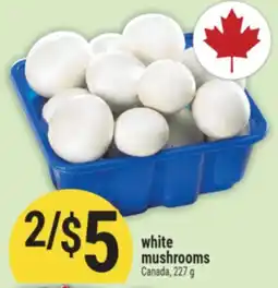 Marché Adonis WHITE MUSHROOMS offer