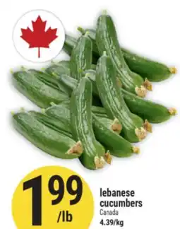 Marché Adonis LEBANESE CUCUMBERS offer