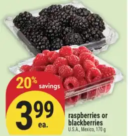 Marché Adonis RASPBERRIES OR BLACKBERRIES offer