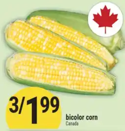 Marché Adonis BICOLOR CORN offer